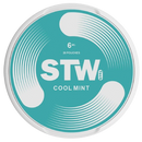 STW: Cool Mint - 6mg